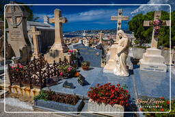 Nizza (106) Friedhof