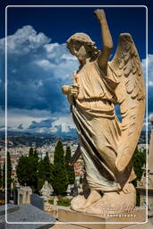 Nizza (109) Friedhof