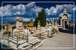 Nizza (111) Friedhof