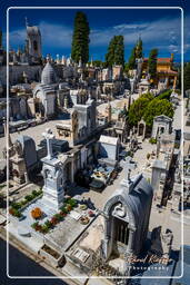 Nice (120) Cemetery