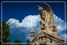 Cemetery, Nice (121)