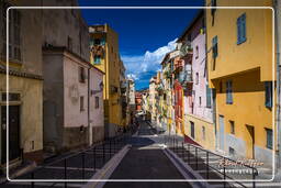 Old Nice, Nice (123)