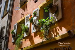 Old Nice, Nice (154)
