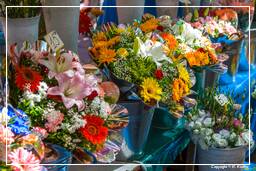 Nice (173) Flower market