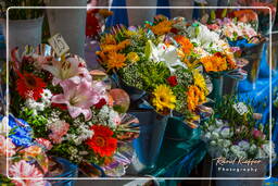 Nice (173) Marche aux Fleurs