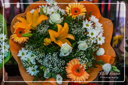 Flower market, Nice (177)