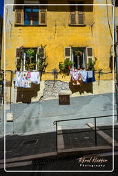 Old Nice, Nice (344)