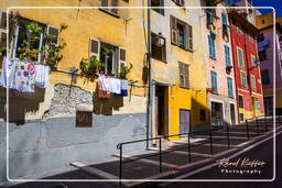 Old Nice, Nice (346)
