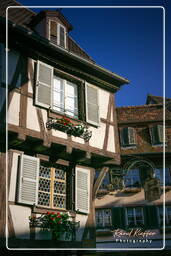 Colmar (2)