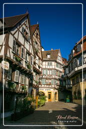 Colmar (3)