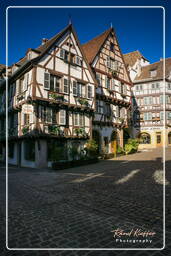 Colmar (7)