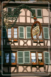 Colmar (9)