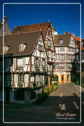 Colmar (10)