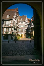 Colmar (13)