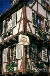 Colmar (20)