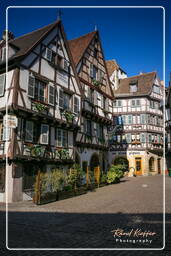 Colmar (49)