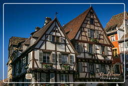 Colmar (51)