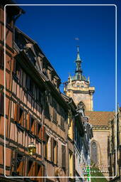 Colmar (62)