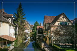 Colmar (77)