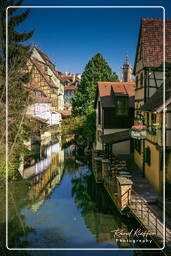 Colmar (81)