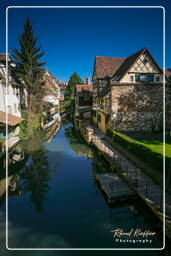 Colmar (83)