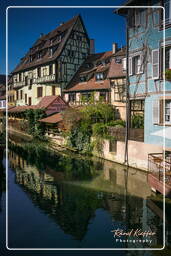 Colmar (86)