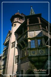 Colmar (96)