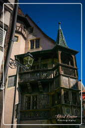 Colmar (97)