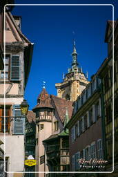 Colmar (101)