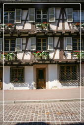 Colmar (107)