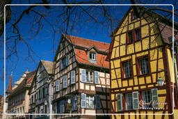 Colmar (131)