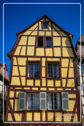 Colmar (135)