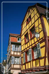 Colmar (152)