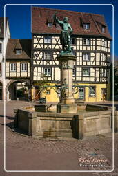 Colmar (172)