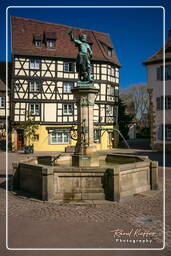 Colmar (173)