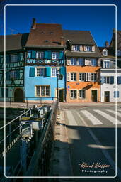 Colmar (207)