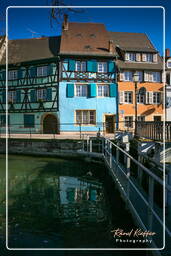 Colmar (210)