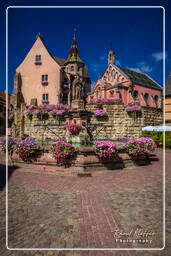 Eguisheim (1) Saint-Léon castle and fountain