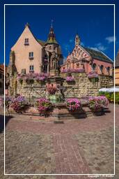 Eguisheim (1) Saint-Léon castle and fountain