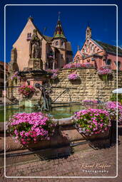 Eguisheim (2) Saint-Léon castle and fountain