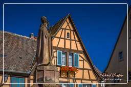 Eguisheim (5)