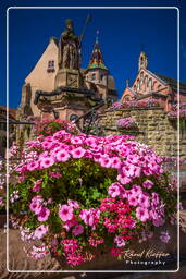 Eguisheim (11) Saint-Léon castle and fountain