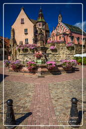 Saint-Léon castle and fountain, Eguisheim (24)