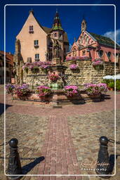 Eguisheim (24) Saint-Léon castle and fountain