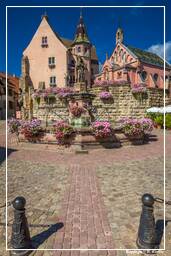 Eguisheim (24) Castello e fontana di Saint-Léon
