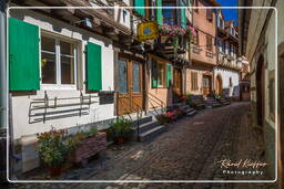 Eguisheim (29)