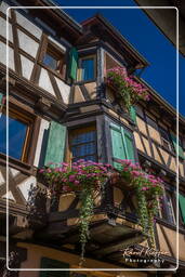 Eguisheim (32)