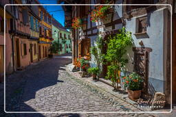 Eguisheim (35)