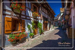 Eguisheim (38)