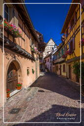 Eguisheim (40)